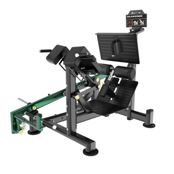 BL33 DUAL 45 HIP EXTENSION