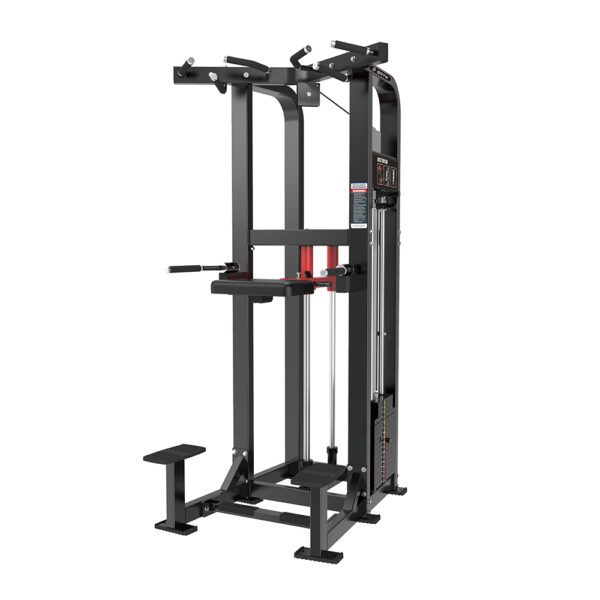 BRTW HS11 Dip/Chin Assist
