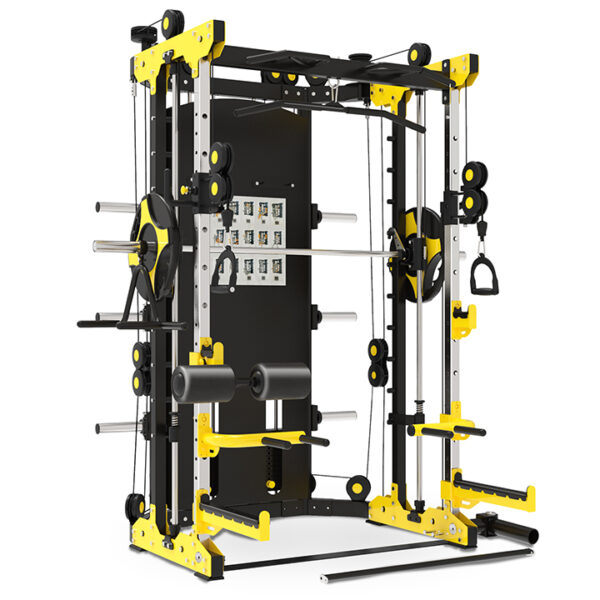 BRTW TS100 Multi functional smith trainer